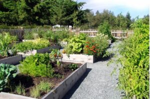 How-to-Organize-a-Community-Garden_3