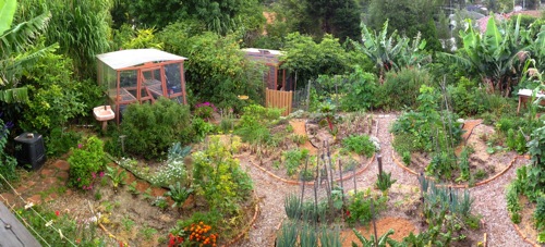 food-forest